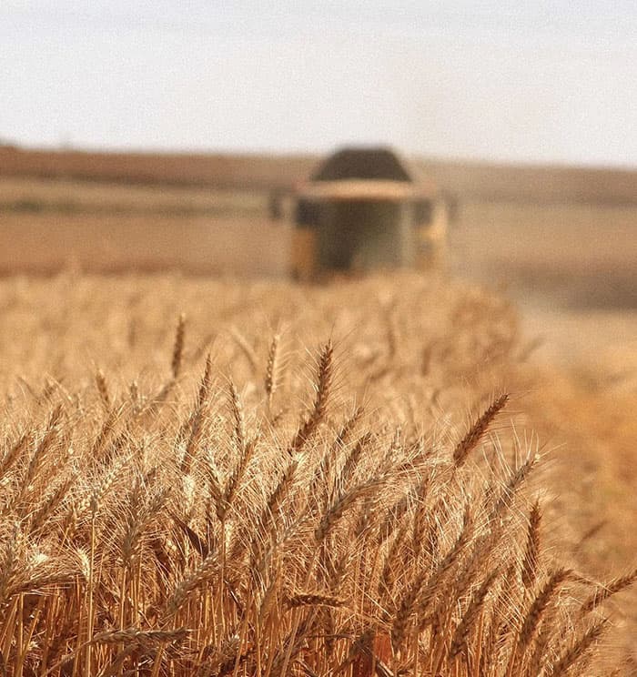 Farming & Rural Accounts Link. Compass Business Partners Ltd Chartered Accountants.